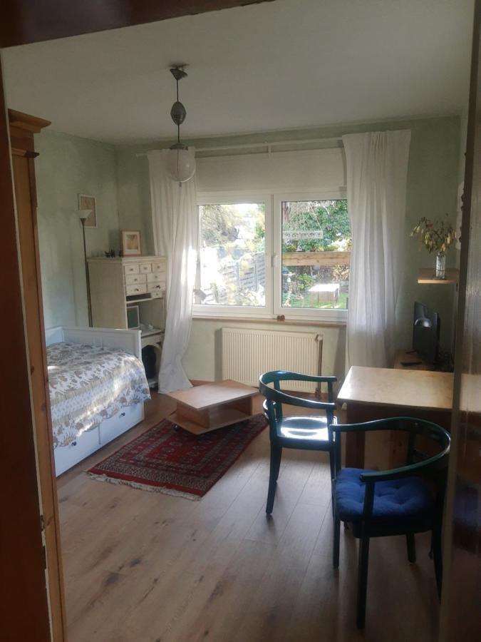Gartenzimmer Mit Strassenbahn Zu Dom Und Messe * Köln